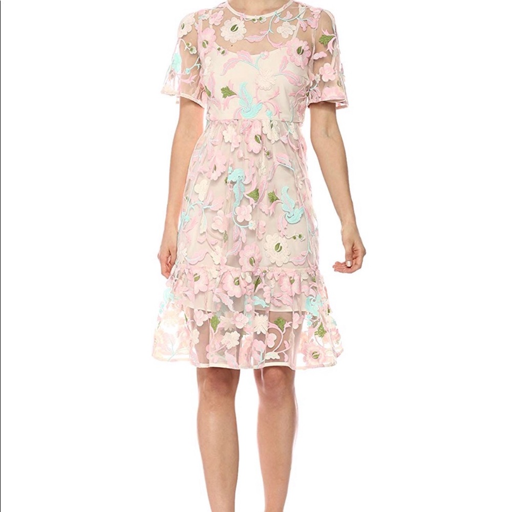Donna Morgan Mesh Embroidered Dress